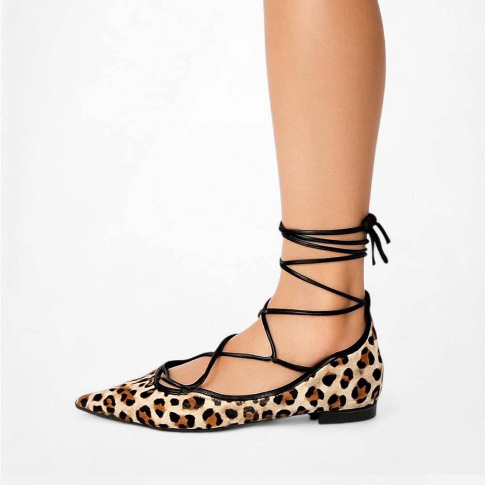 Zara Ballets shoes